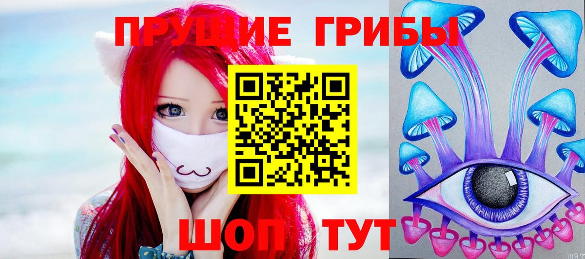 Ставрополь  Псилоцибиновые грибы Psilocybine cubensis  наркота  Вход с VPN  Галлюциногенные грибы Cubensis 